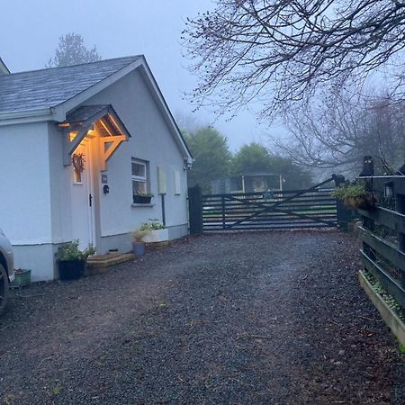 Beech Tree Cottage Glenwherry Exterior photo